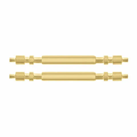 2PCS MENS PRESIDENT SPRING BARS FOR ROLEX 20MM GOLD PLATED